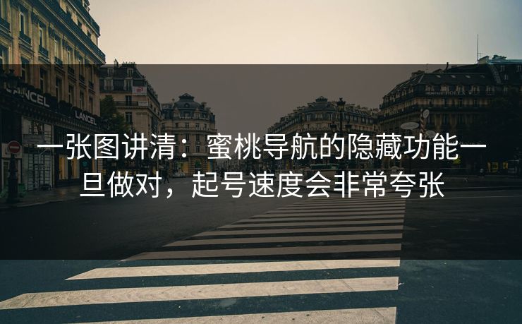 一张图讲清：蜜桃导航的隐藏功能一旦做对，起号速度会非常夸张