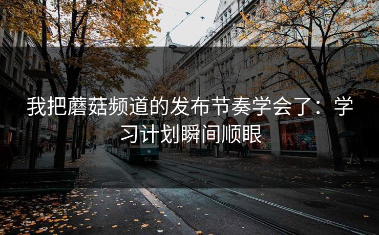 我把蘑菇频道的发布节奏学会了：学习计划瞬间顺眼