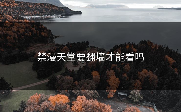 禁漫天堂要翻墙才能看吗